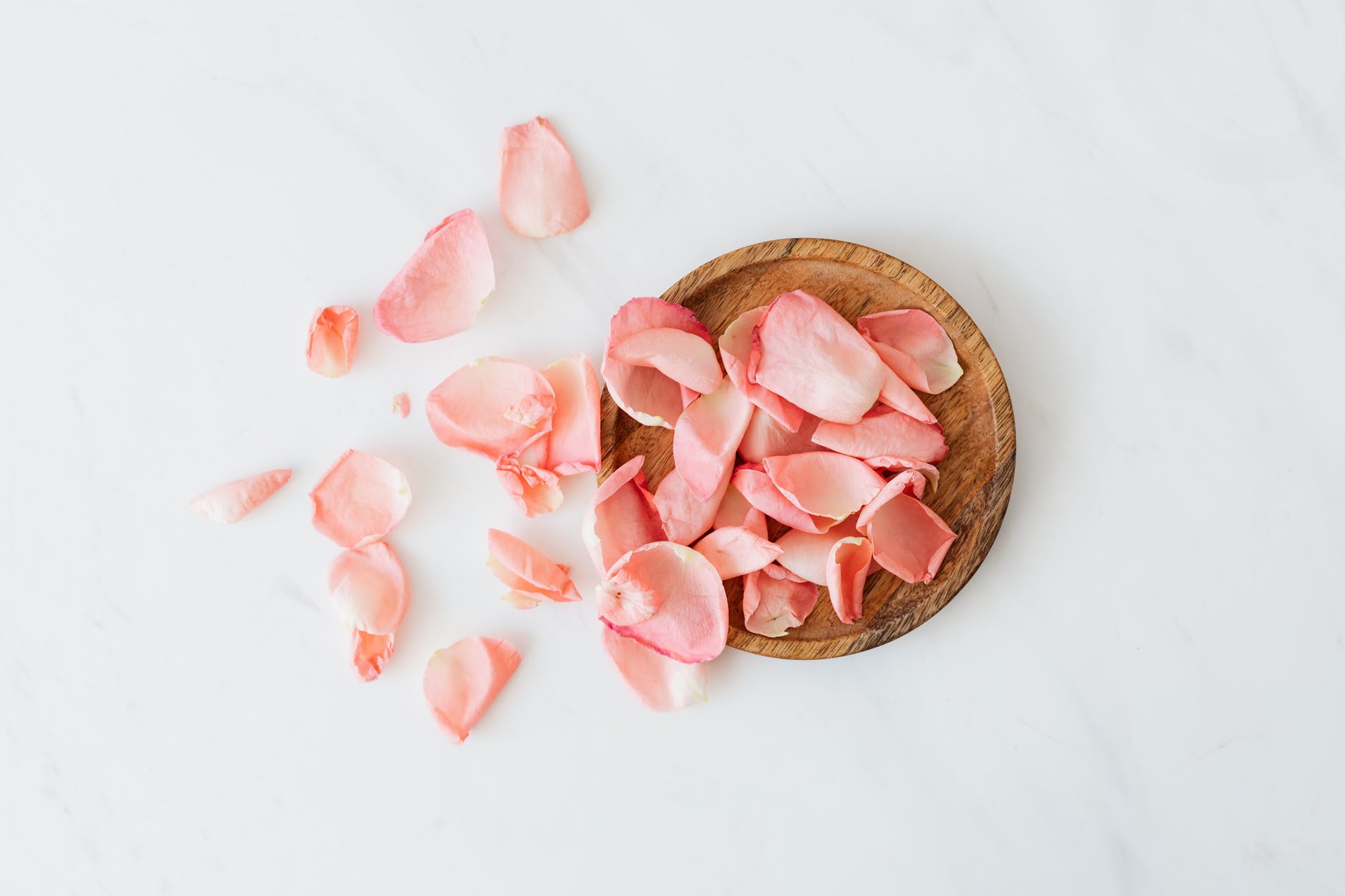 delicate rose petals on wooden plate on white surface