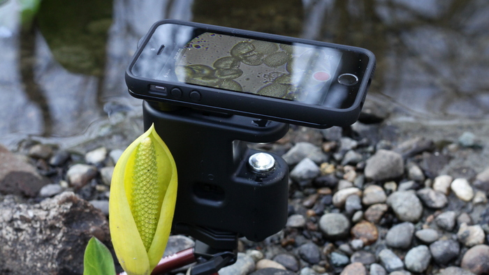 Coup de coeur pour le&nbsp;MicrobeScope!